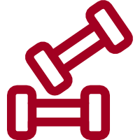 Icon Nutrition Des Sportifs Diététicien Albertville