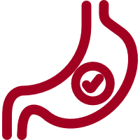 Icon Pathologies Digestives Diététicien Albertville